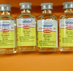Ketaset Ketamine 100 mg/10 ml
