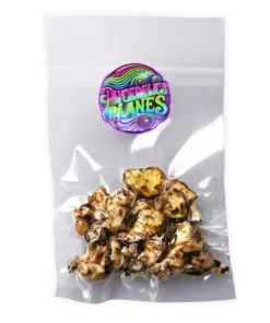 MAGIC TRUFFLES HOLLANDIA