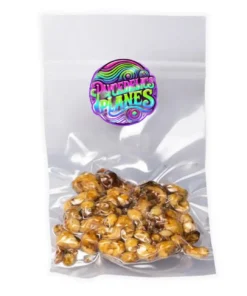 Tampanensis Magic Truffles