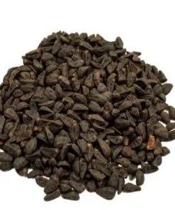 Morning Glory – Ipomoea Tricolor